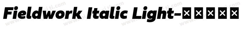 Fieldwork Italic Light字体转换